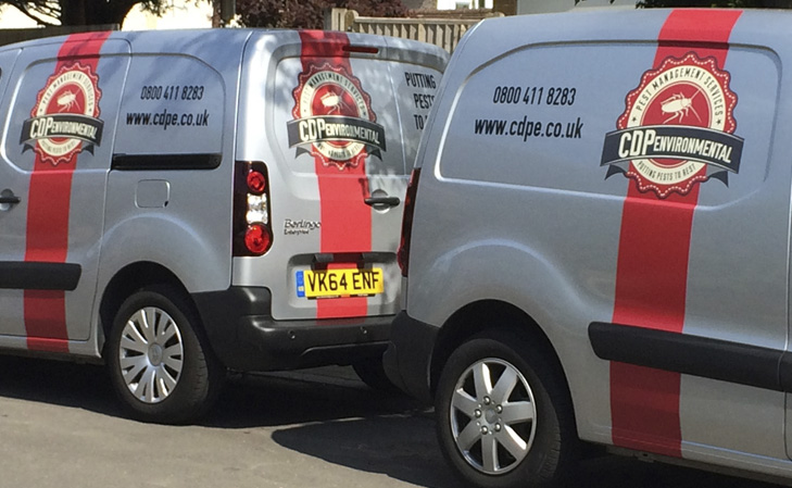729×449 van pic